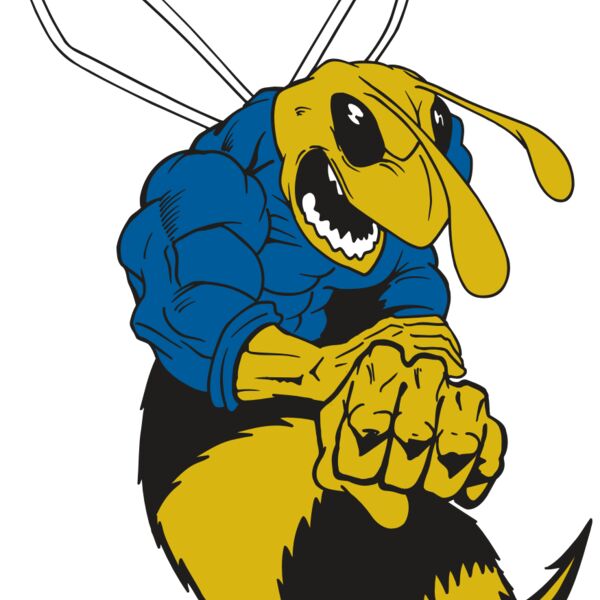 AR5 BEE 29 RQC Thumbnail