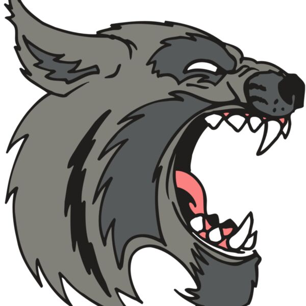 AR5 BOBCAT 08 RQC Thumbnail