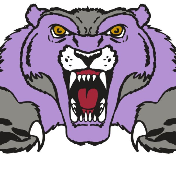 AR WOLVERINE 17 RC Thumbnail