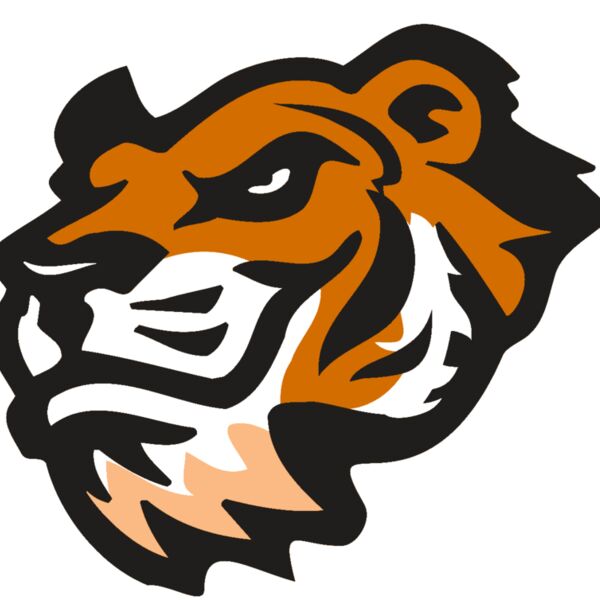 AR TIGER 21 RC Thumbnail