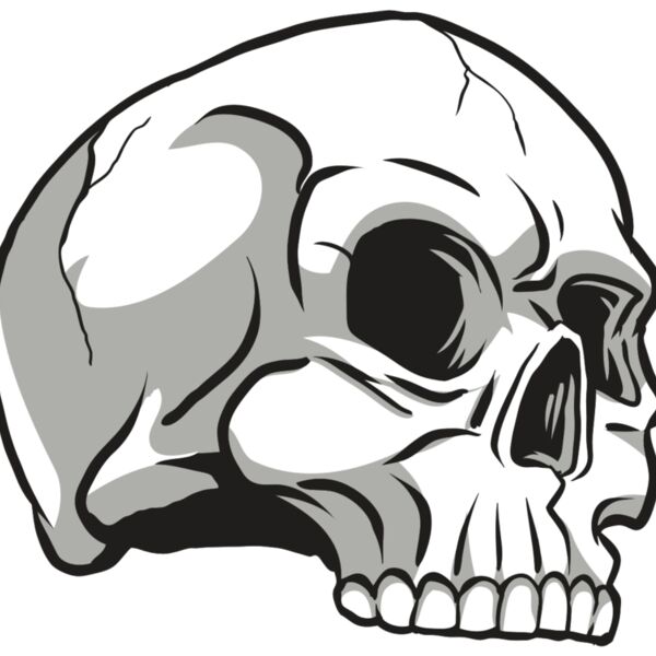 AR24 SKULL 10 RQC Thumbnail