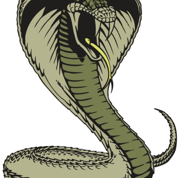 BAW SNAKE 07 RC Thumbnail