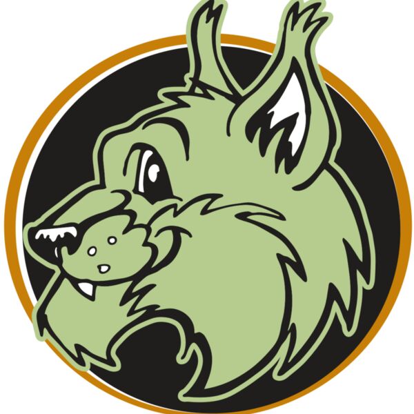 AR WILDCAT 17 RC Thumbnail