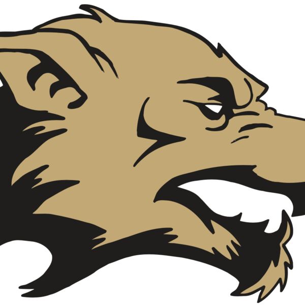 AR5 Wolf 12 RQC Thumbnail