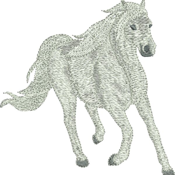 397009 Thumbnail